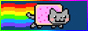 nyancat: a cat with a body of a pop tart galloping with
                         a rainbow trail behind it