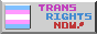 A badge saying 'Trans Rights Now' with a trans flag
                         to the left